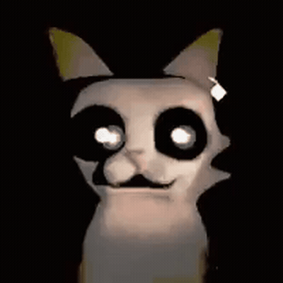 Cat With Big Eyes And Mustache In Dark GIF