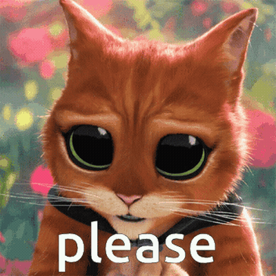 Cat With Big Eyes Asking Please GIF