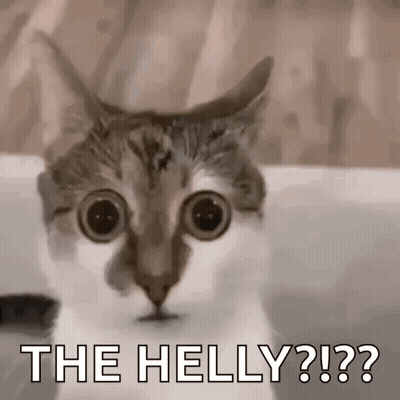 Cat With Big Eyes Looking At Camera Saying The Helly GIF
