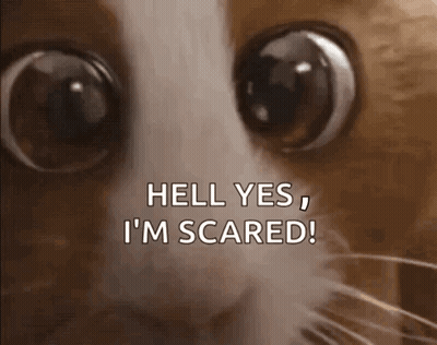 Cat With Big Eyes Saying Hell Yes I'm Scared GIF