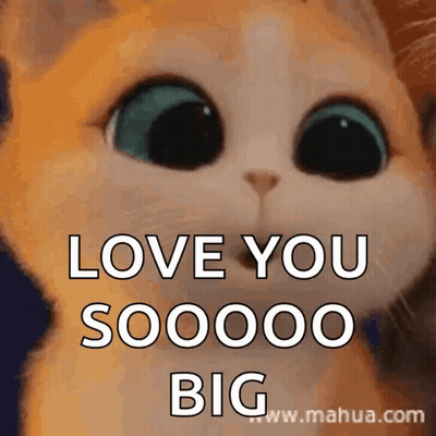 Cat With Big Eyes Saying Love You GIF