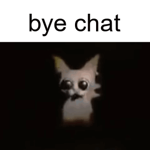 Cat With Big Eyes Standing In Dark With Words Bye Chat GIF