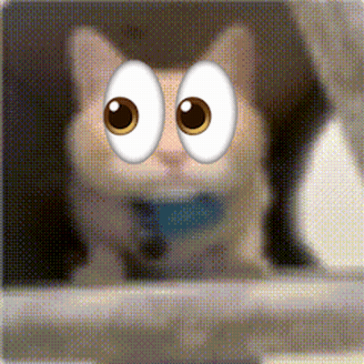 Cat With Big Googly Eyes GIF