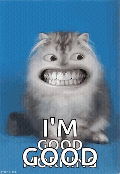 Cat With Big Smile Saying I'm Good GIF