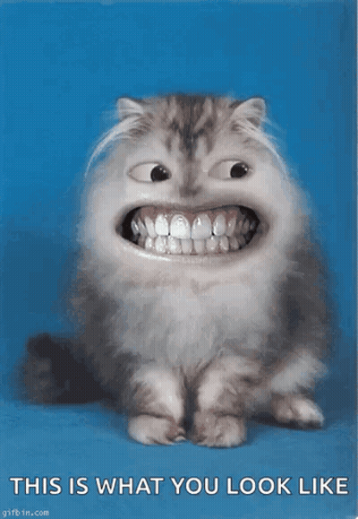 Cat With Big Teeth Saying This Is What You Look Like GIF