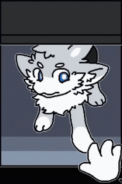 Cat With Blue Eyes GIF