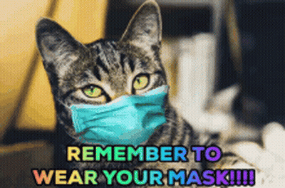 Cat With Blue Mask Saying Remember To Wear Your Mask GIF