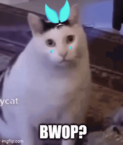 Cat With Bow And Bwop GIF