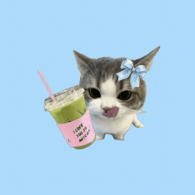 Cat With Bow Holding I Love You So Matcha Cup GIF