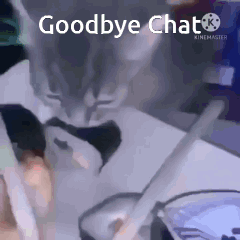 Cat With Bow Tie And Words Goodbye Chat GIF