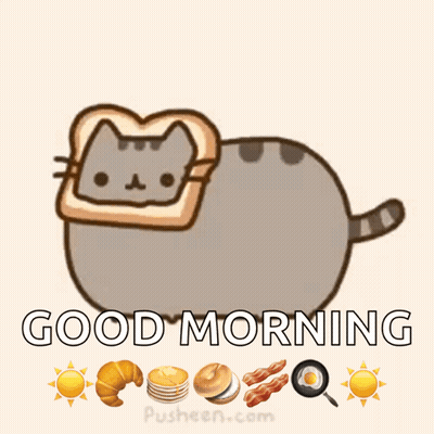 Cat With Bread On Head Good Morning GIF