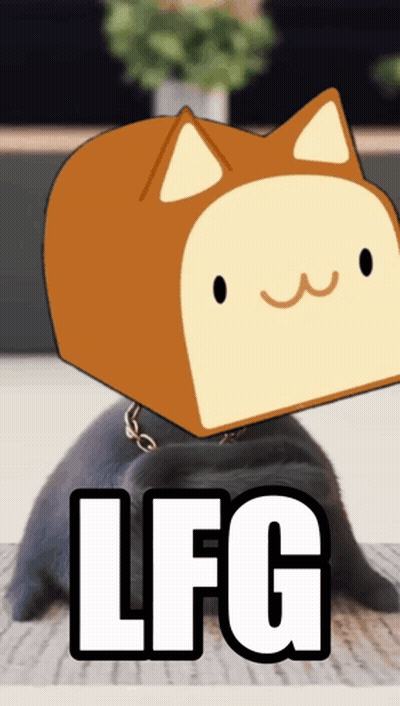 Cat With Bread On Head LFG GIF