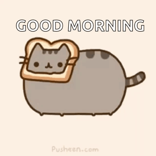 Cat With Bread On Head GIF