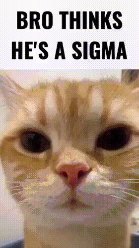 Cat With Bro Thinks He's A Sigma GIF
