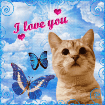 Cat With Butterflies I Love You GIF