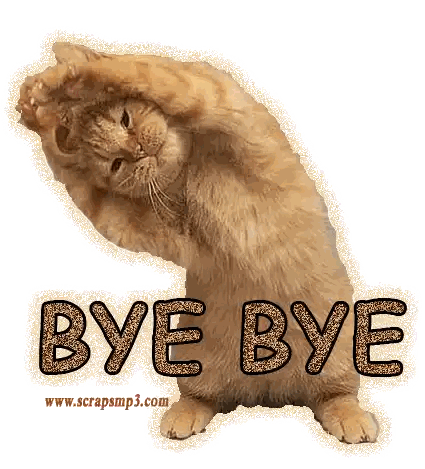 Cat With Bye Bye Text Sticker