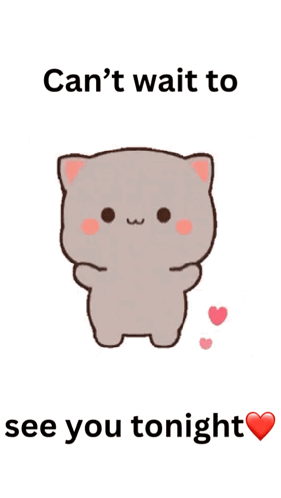 Cat With Can't Wait To See You Tonight GIF