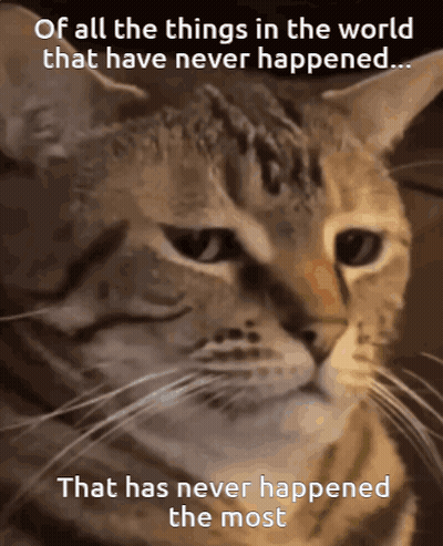 Cat With Caption Of All Things That Never Happened GIF