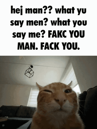Cat With Caption Saying F**k You GIF