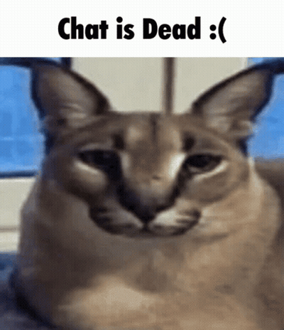 Cat With Chat Is Dead GIF