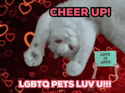 Cat With Cheer Up LGBTQ Pets Luv U GIF