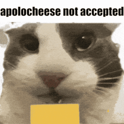 Cat With Cheese Saying Apologese Not Accepted GIF