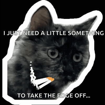 Cat With Cigarette Saying I Just Need A Little Something GIF