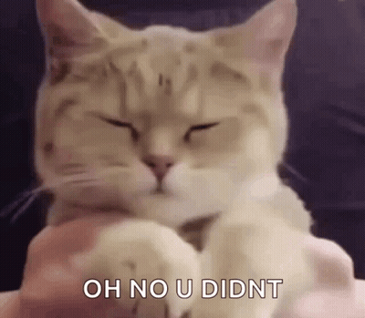 Cat With Closed Eyes Being Petted On Lap GIF