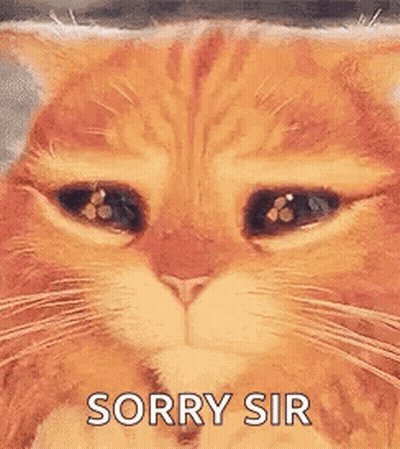 Cat With Closed Eyes Saying Sorry Sir GIF