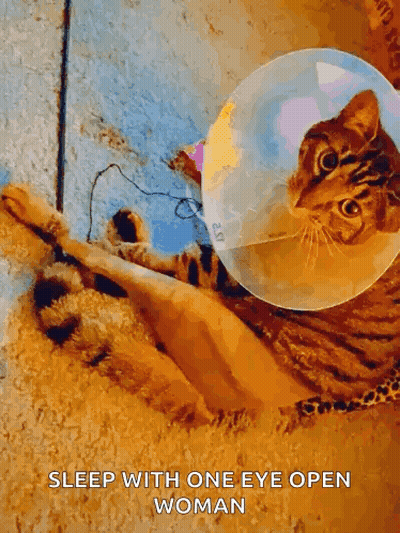 Cat With Cone Laying Floor Sleep With One Eye Open Woman GIF