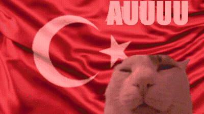 Cat With Crescent Moon And Star In Front Of Red Flag Saying Auuuu GIF