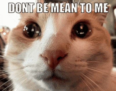 Cat With Dont Be Mean To Me GIF