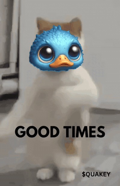 Cat With Duck On Head Saying Good Times GIF