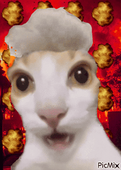 Cat With Explosions And Picmix GIF