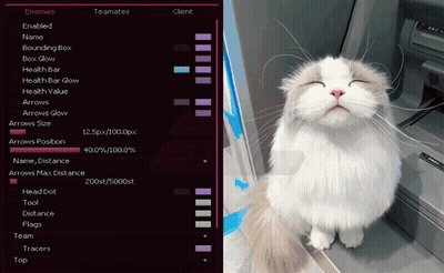 Cat With Eyes Closed Next To Computer Saying Enemies GIF