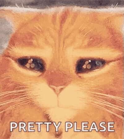 Cat With Eyes Closed Pretty Please GIF