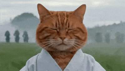 Cat With Eyes Closed Wearing White Jacket GIF