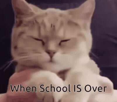 Cat With Eyes Closed When School Is Over GIF
