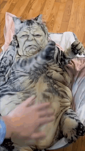 Cat With Face Painted Laying On Blanket GIF