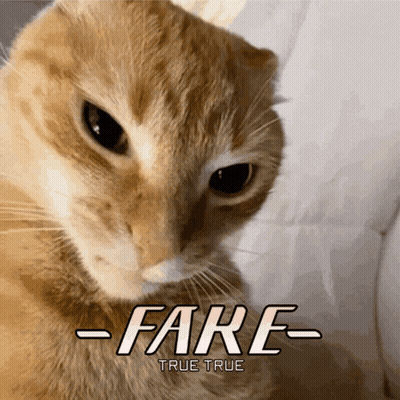 Cat with Fare True True