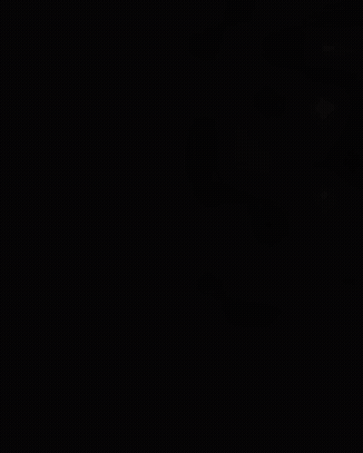 Cat With Finger On Nose Shushing Little Role GIF