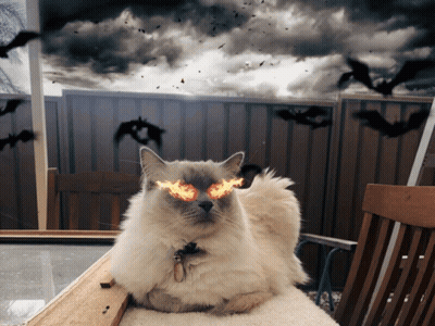 Cat With Flaming Eyes On Chair GIF