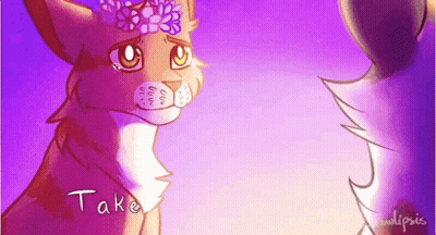 Cat With Flower Crown Saying Take GIF