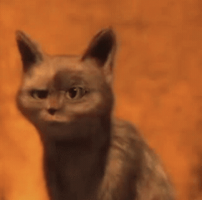Cat With Food in Mouth Looking at Camera