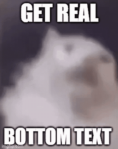 Cat With Get Real Bottom Text GIF