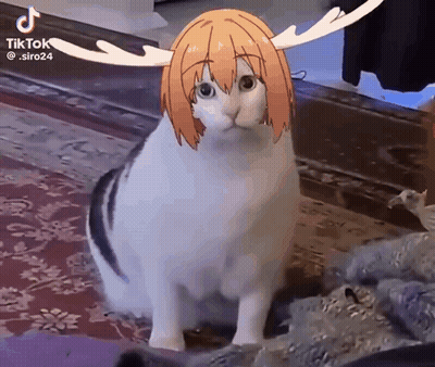 Cat With Girl Head And Antlers GIF