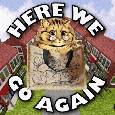 Cat With Glasses In Bag Here We Go Again GIF