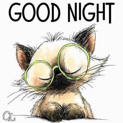 Cat With Glasses Saying Good Night GIF