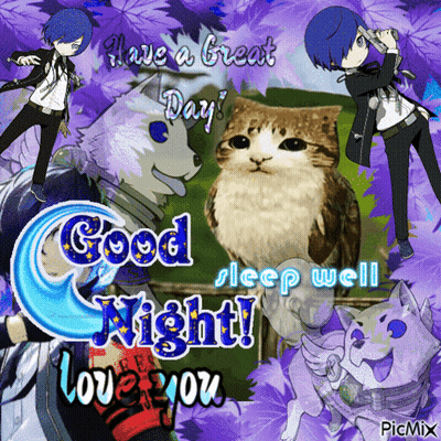 Cat With Good Sleep Have Great Day Love You GIF