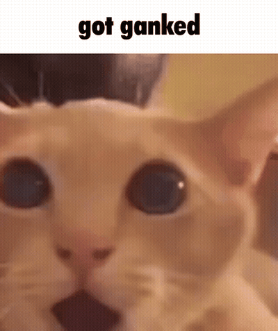 Cat With Got Ganked Text GIF